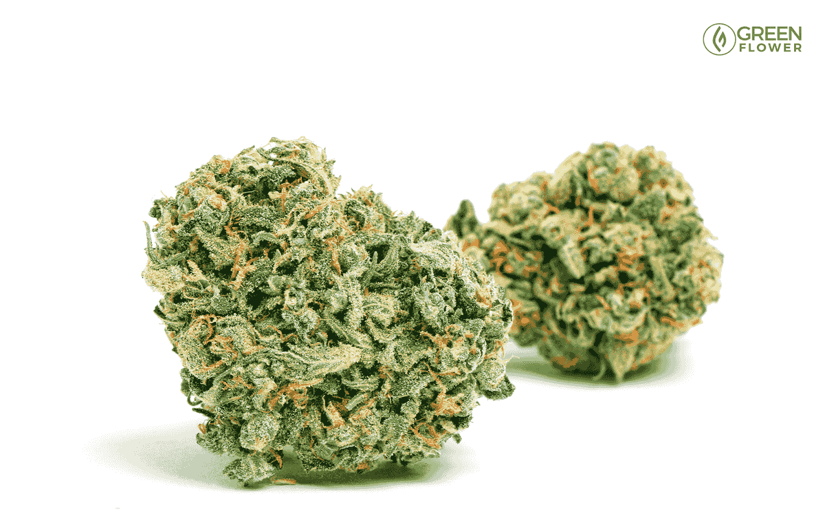 Dream catcher strain by blue lotus