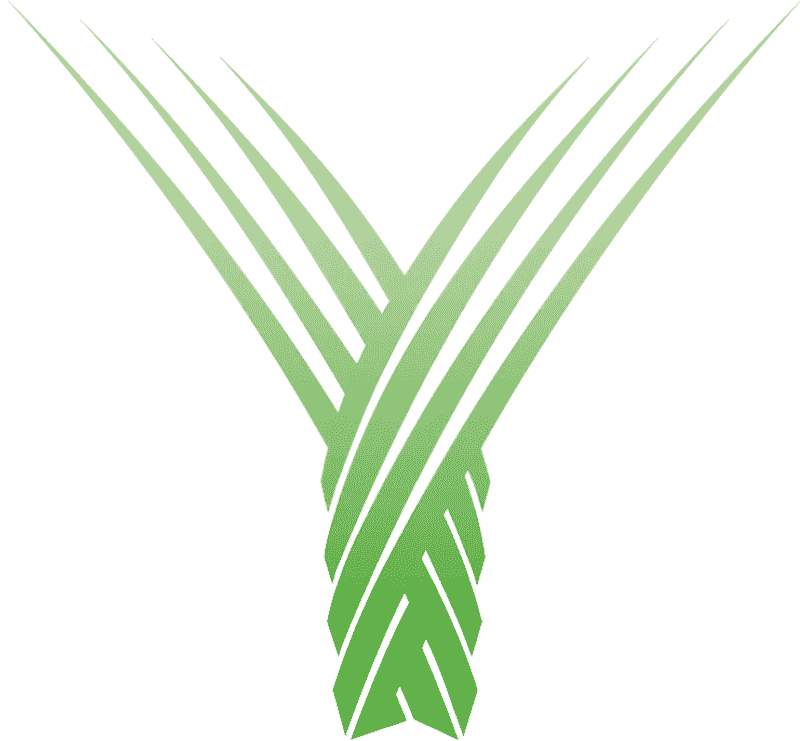 San manuel casino jobs archaeologist openings