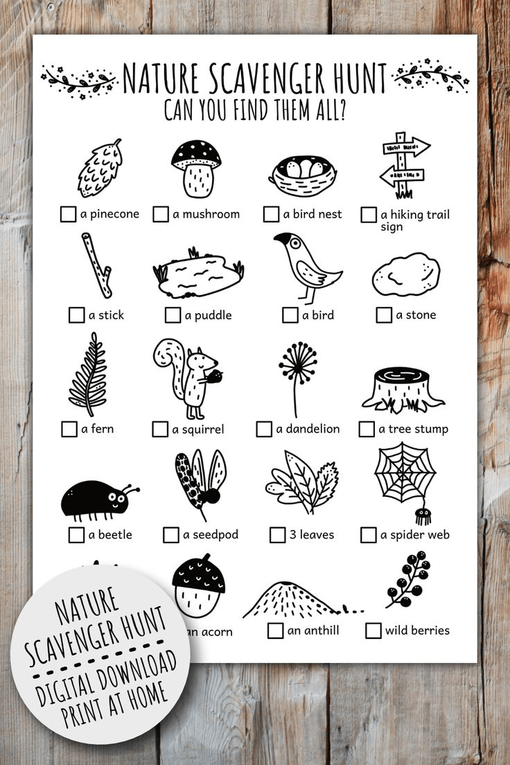 Free printable nature scavenger hunt bingo card