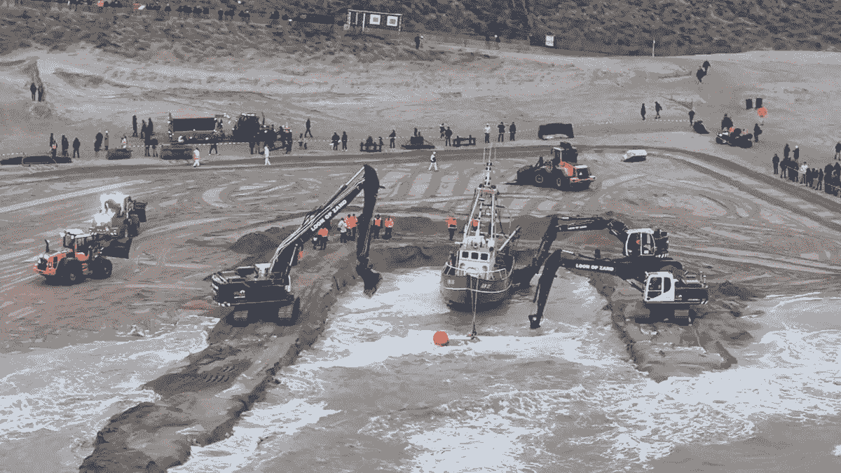 Are there jacks in blackjack