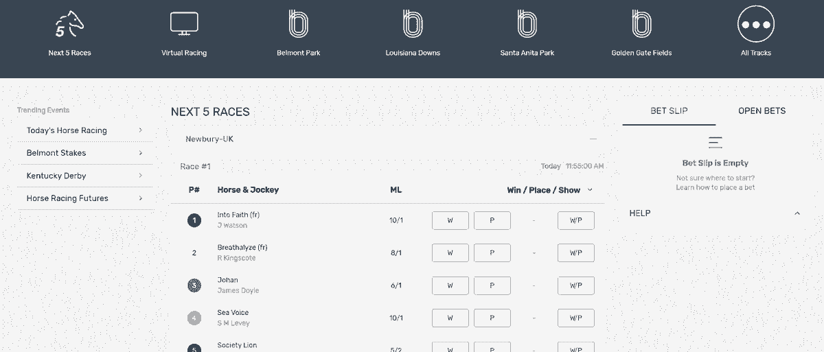 Bovada promo code sports