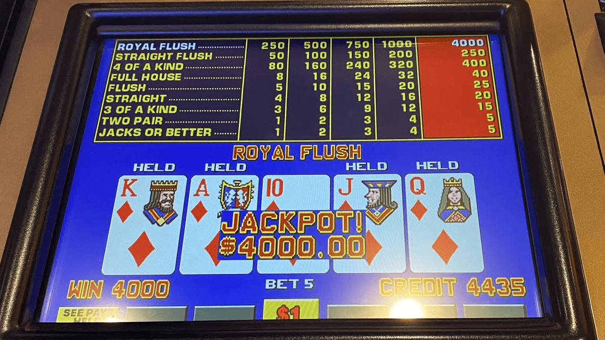 Soaring eagle casino aurora buffet