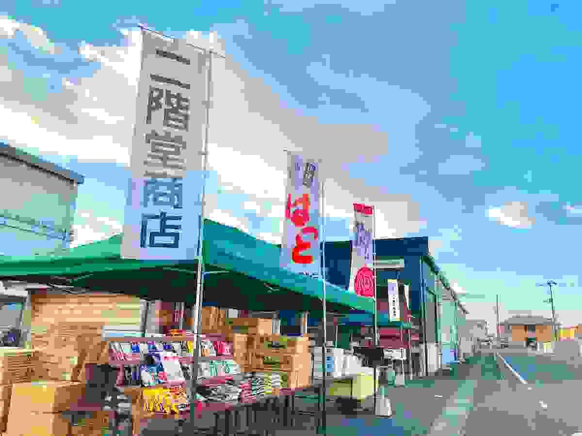 broken image