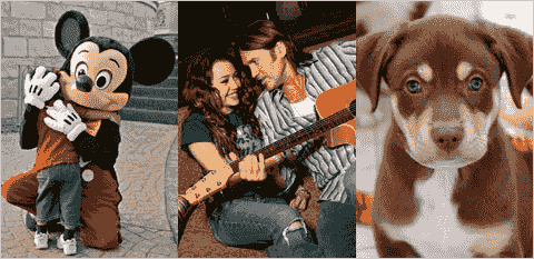 Gay pornhub rape rough force ebony thug pornhub