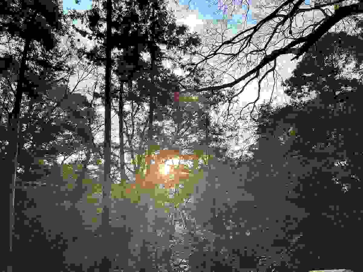Section image