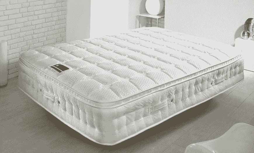 Bed bug on mattresses