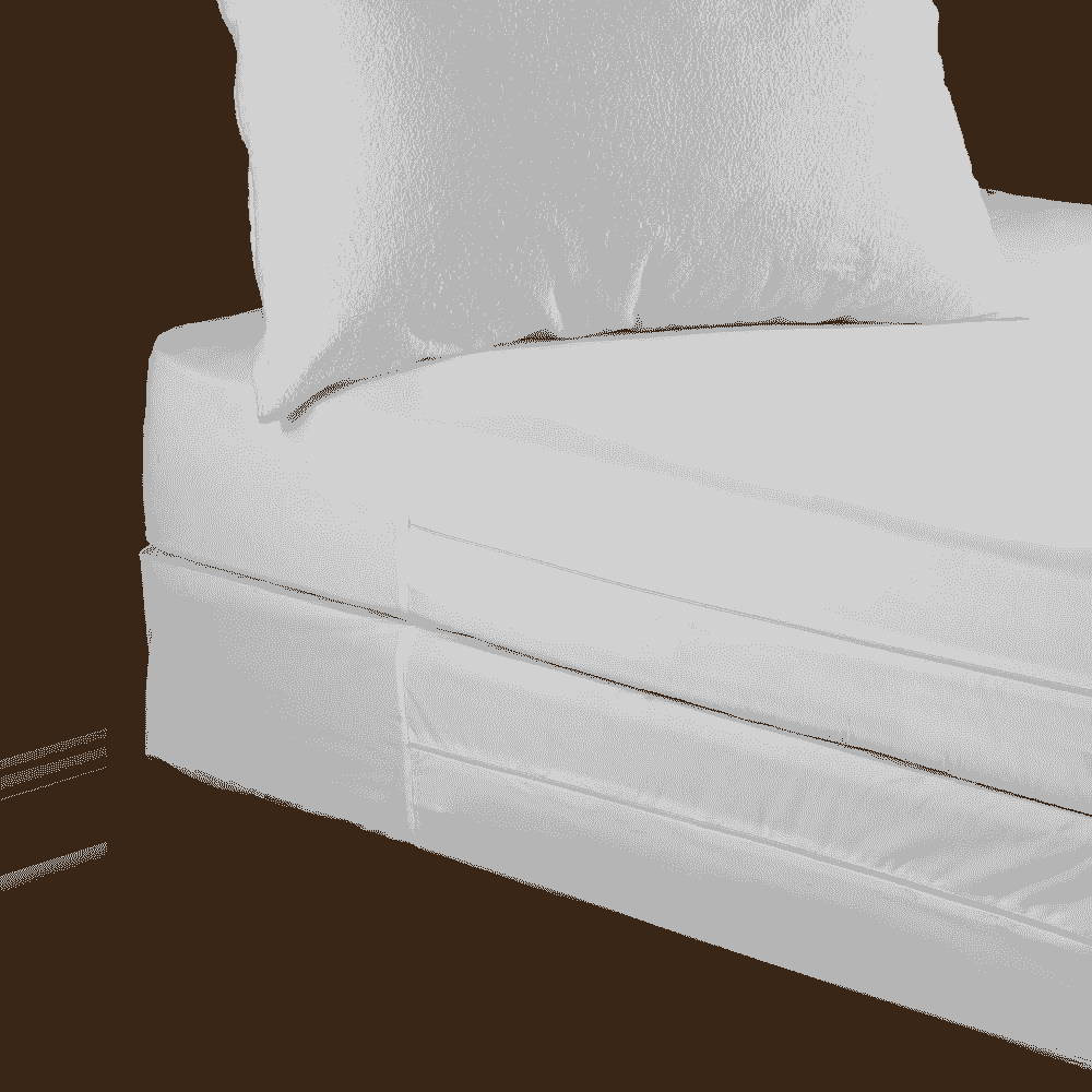 Best bed bug mattress encasements