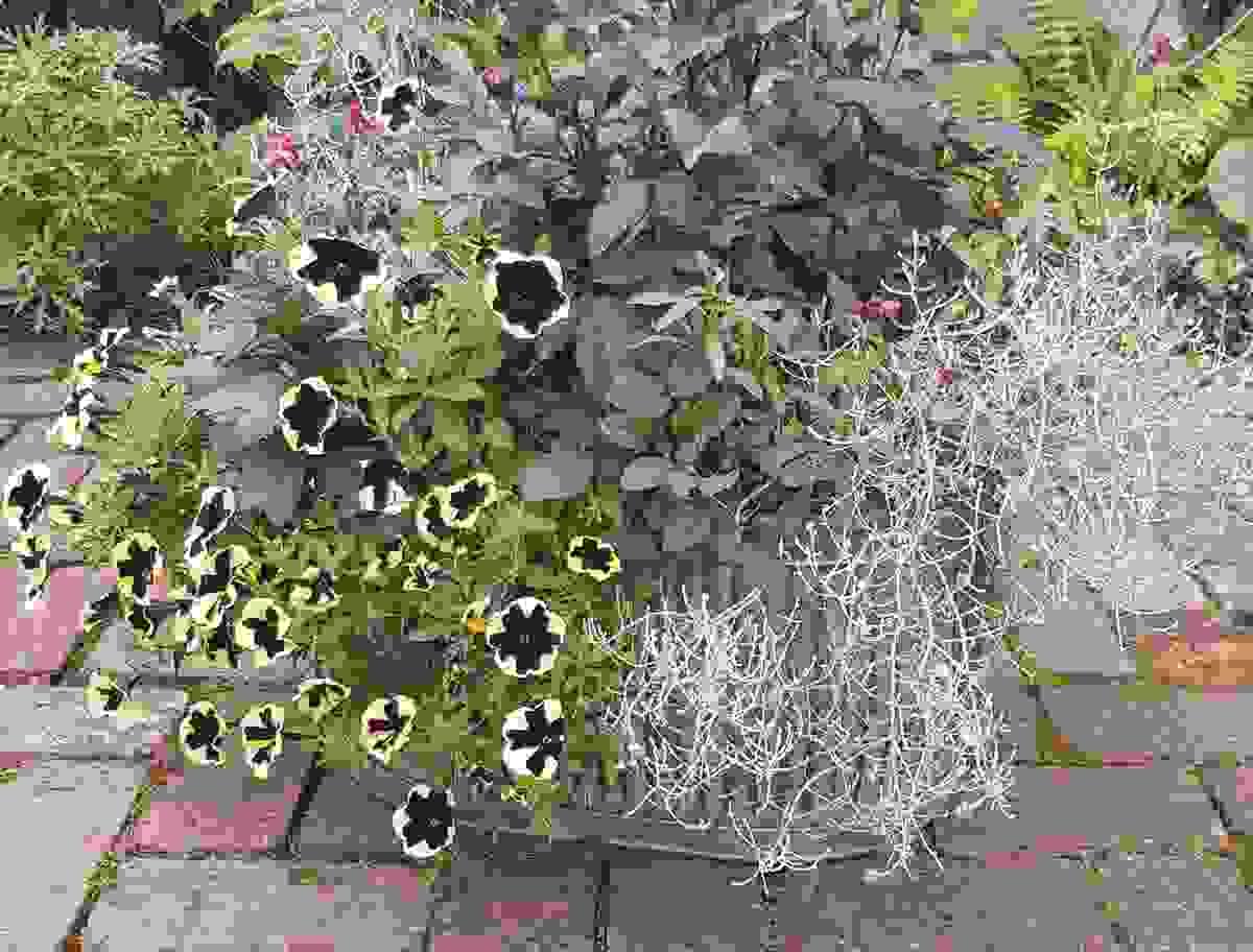 We are committed to promoting sustainable gardening practices. Our designs incorporate eco-friendly materials and techniques that minimize environmental impact while enhancing the beauty of your garden. Learn how we can help you create a thriving, sustainable outdoor space. Sustainable Practices What We Do Garden Design and Consultations We are committed to promoting sustainable gardening practices. Our designs incorporate eco-friendly materials and techniques that minimize environmental impact while enhancing the beauty of your garden. Learn how we can help you create a thriving, sustainable outdoor space. Sustainable Practices What We Do Garden Design and Consultations