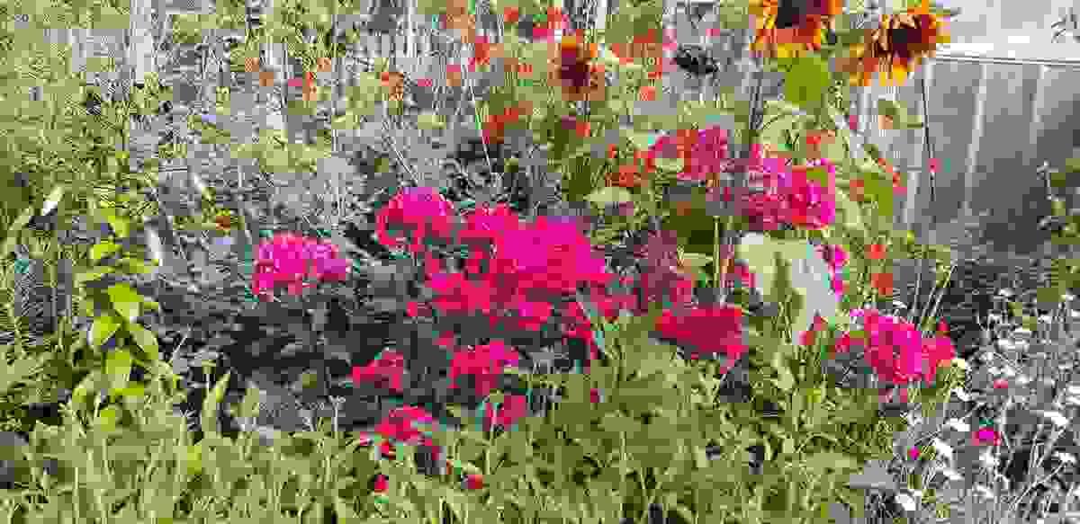 We are committed to promoting sustainable gardening practices. Our designs incorporate eco-friendly materials and techniques that minimize environmental impact while enhancing the beauty of your garden. Learn how we can help you create a thriving, sustainable outdoor space. Sustainable Practices What We Do Garden Design and Consultations We are committed to promoting sustainable gardening practices. Our designs incorporate eco-friendly materials and techniques that minimize environmental impact while enhancing the beauty of your garden. Learn how we can help you create a thriving, sustainable outdoor space. Sustainable Practices What We Do Garden Design and Consultations