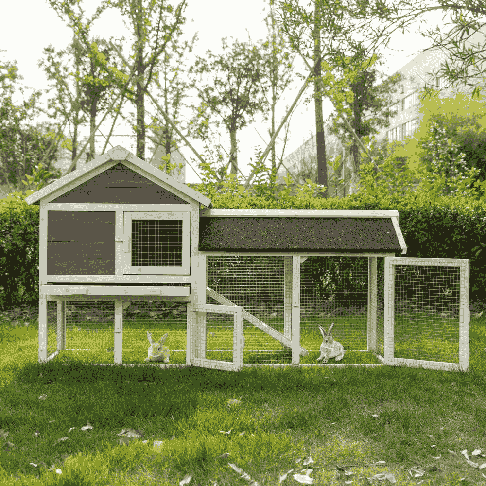 Lowes chicken coop