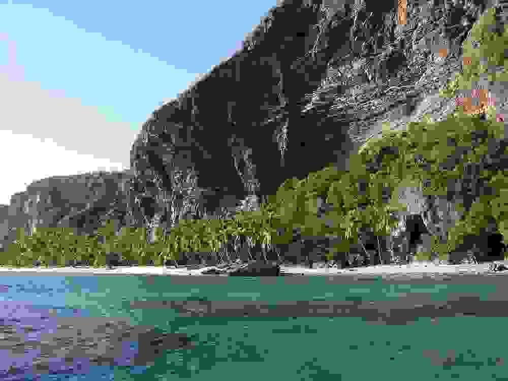 Section image