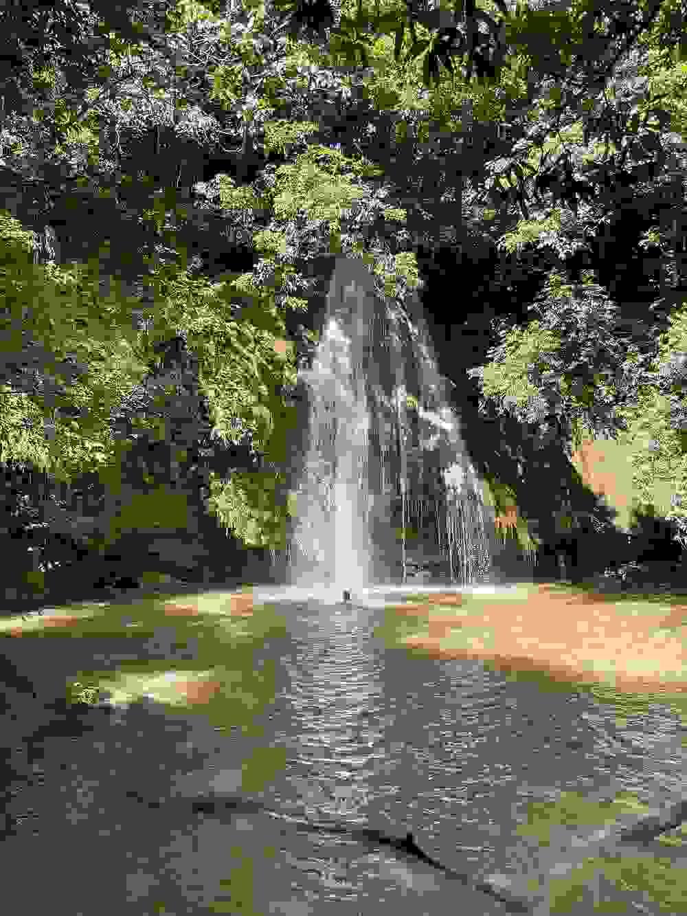 Section image
