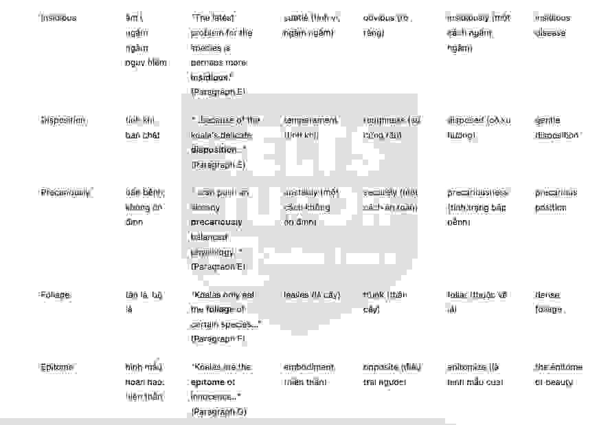 🔥Koalas - Đề thi thật IELTS READING - Làm bài online format computer-based, kèm đáp án, dịch & giải thích từ vựng - cấu trúc ngữ pháp khó 