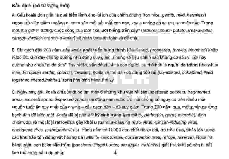 🔥Koalas - Đề thi thật IELTS READING - Làm bài online format computer-based, kèm đáp án, dịch & giải thích từ vựng - cấu trúc ngữ pháp khó 