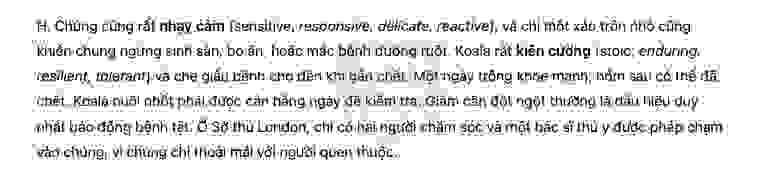 🔥Koalas - Đề thi thật IELTS READING - Làm bài online format computer-based, kèm đáp án, dịch & giải thích từ vựng - cấu trúc ngữ pháp khó 
