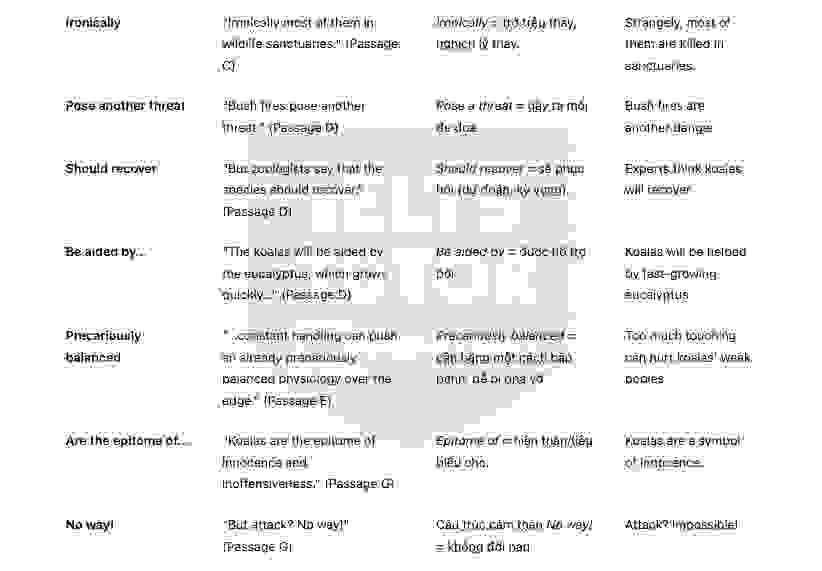 🔥Koalas - Đề thi thật IELTS READING - Làm bài online format computer-based, kèm đáp án, dịch & giải thích từ vựng - cấu trúc ngữ pháp khó 
