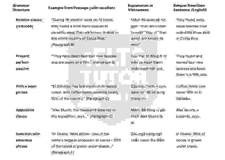 Natural Choice Coffee and Chocolate  - Đề thi thật IELTS READING - Làm bài online format computer-based, kèm đáp án, dịch & giải thích từ vựng - cấu trúc ngữ pháp khó 