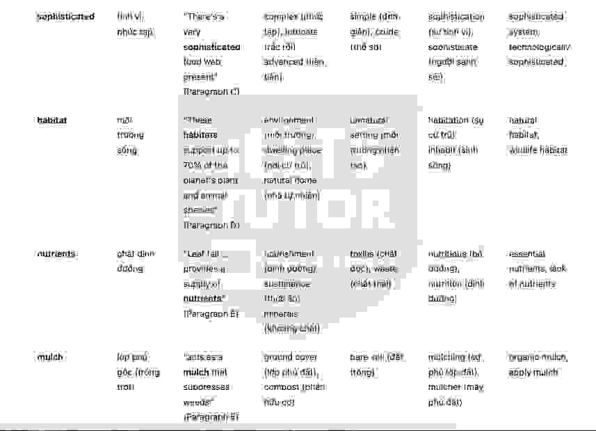 Natural Choice Coffee and Chocolate  - Đề thi thật IELTS READING - Làm bài online format computer-based, kèm đáp án, dịch & giải thích từ vựng - cấu trúc ngữ pháp khó 