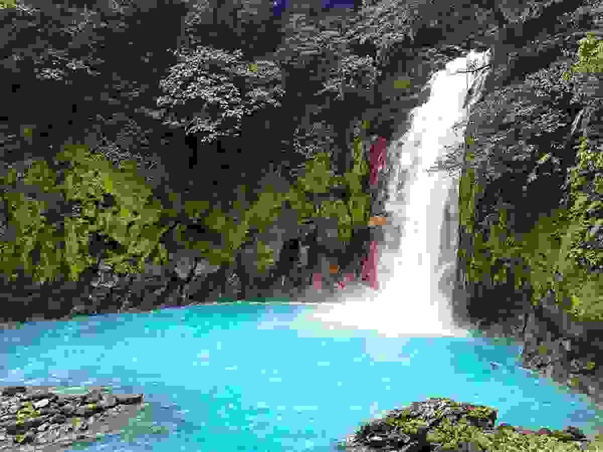 Section image