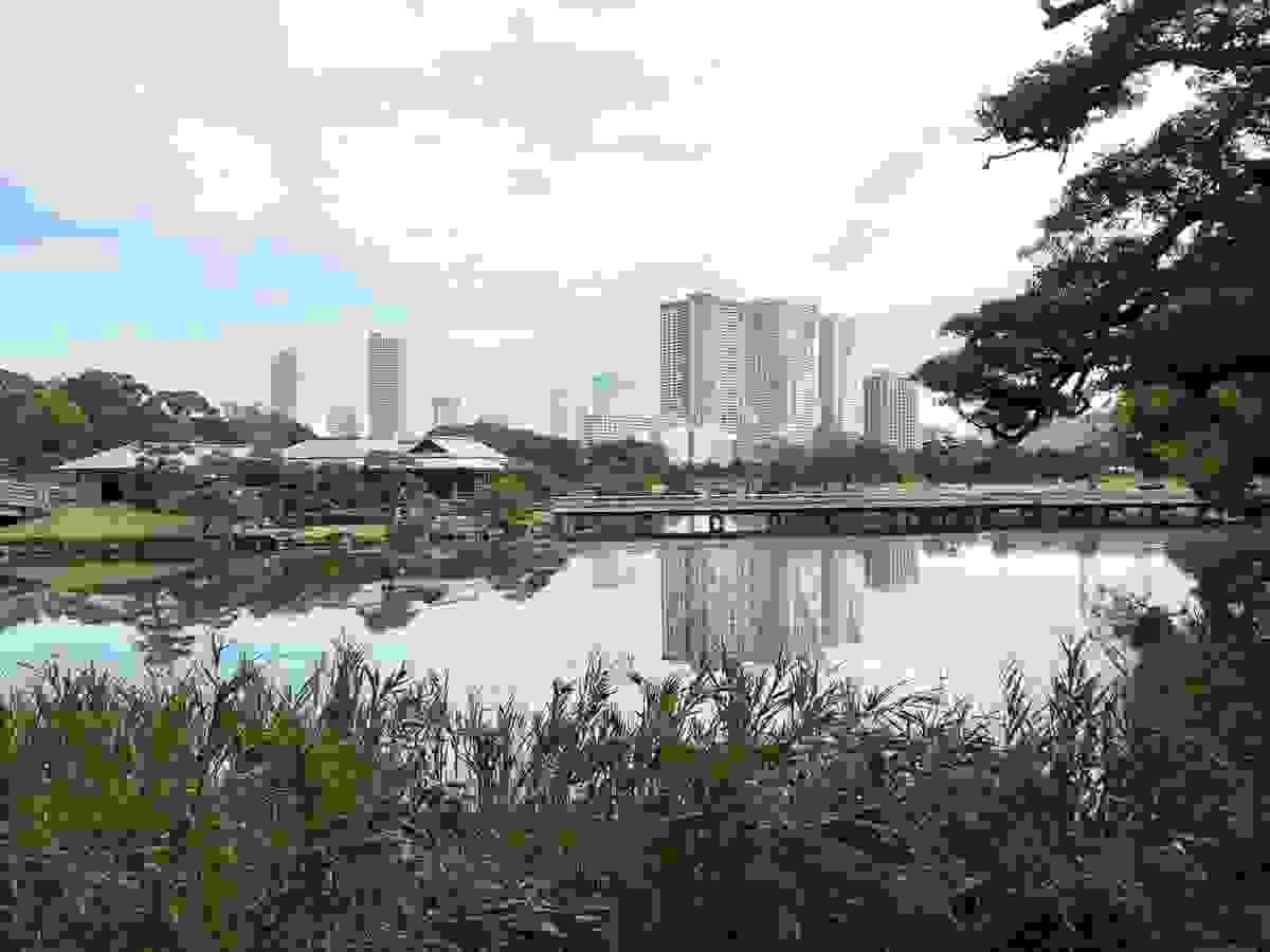Section image
