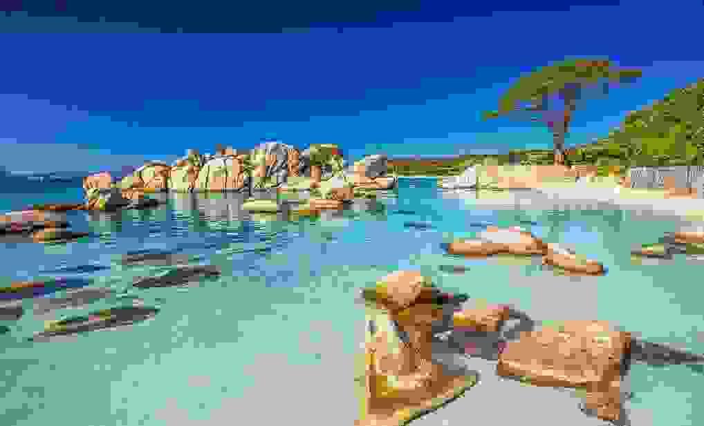 Section image