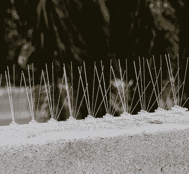 We are committed to providing excellent services through a highly trained and specialized team. Our goal is to achieve customer satisfaction by providing permanent and effective solutions to repel pigeons, keeping public and private spaces clean. We are here to provide effective pigeon repellent solutions in Dammam and Eastern Province. Pigeon repellent installation company in Dammam and Eastern Province We are committed to providing excellent services through a highly trained and specialized team. Our goal is to achieve customer satisfaction by providing permanent and effective solutions to repel pigeons, keeping public and private spaces clean. We are here to provide effective pigeon repellent solutions in Dammam and Eastern Province. Pigeon repellent installation company in Dammam and Eastern Province