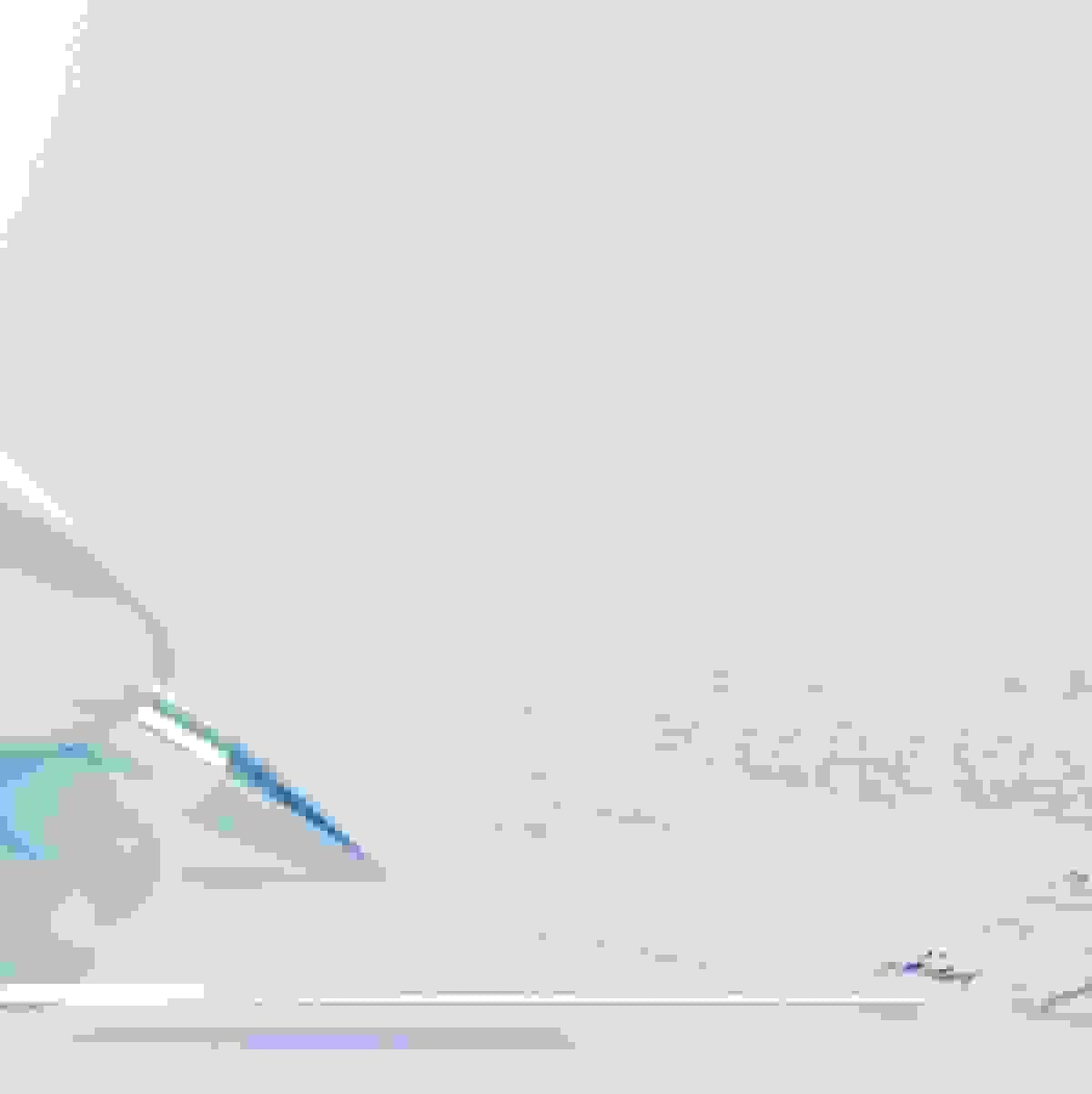broken image