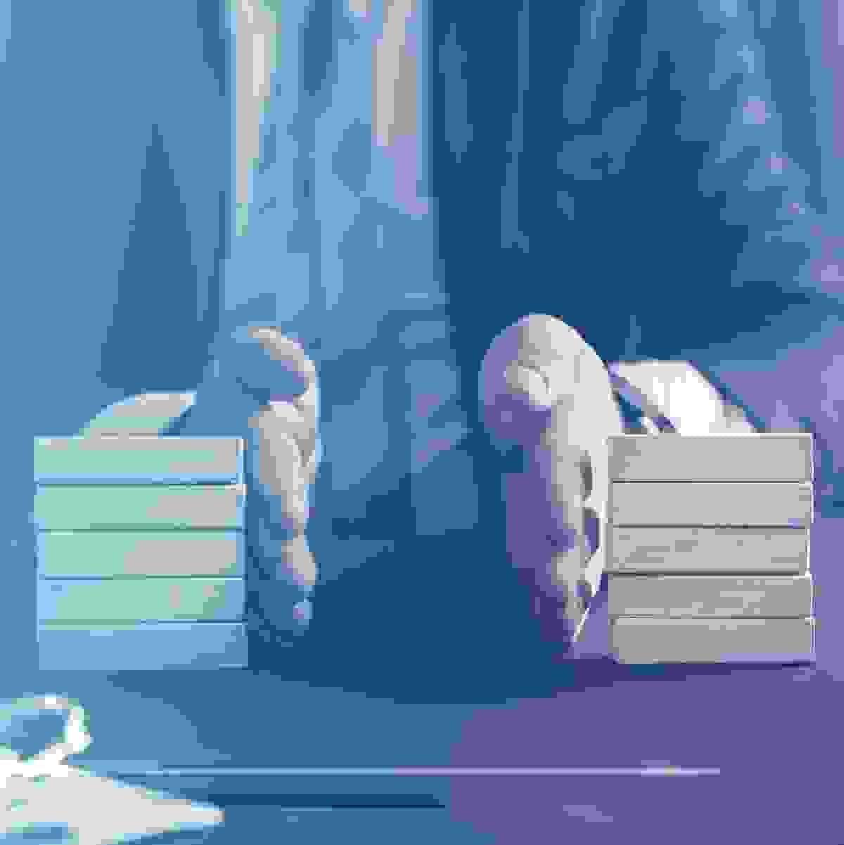broken image