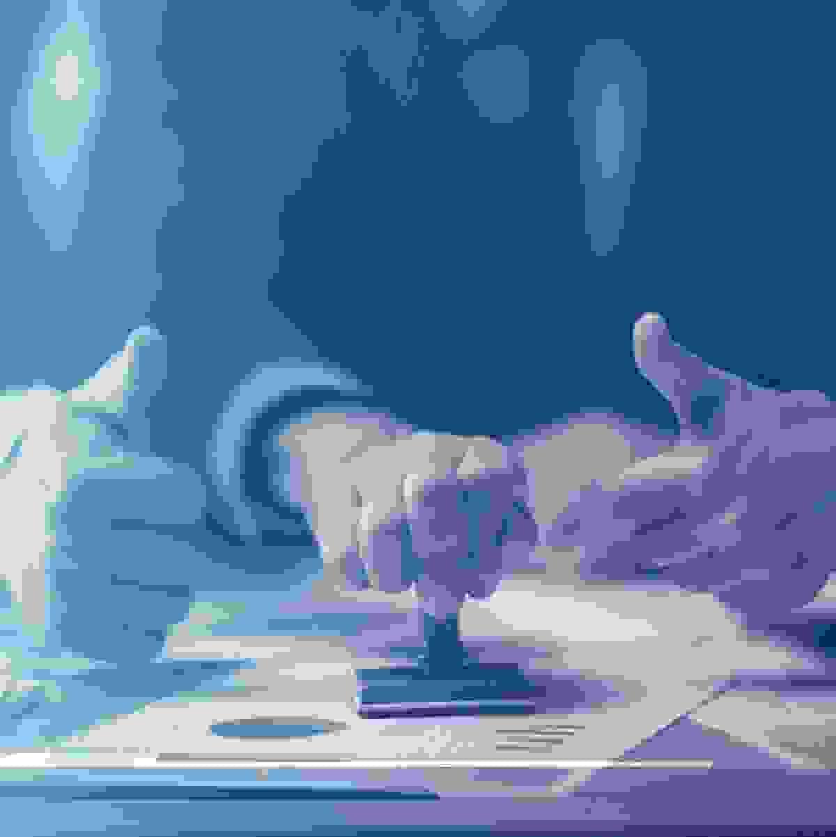 broken image