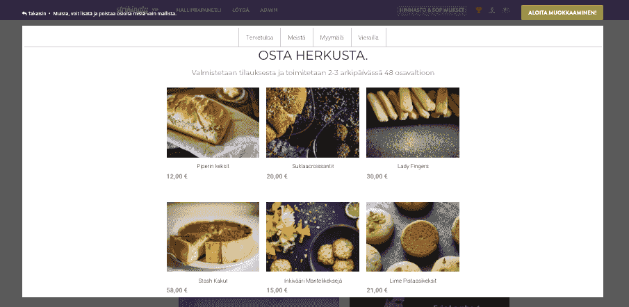 Strikinglyn rooli sosiaalisen median sisältömarkkinoinnissa - Verkkokaupan ominaisuudet