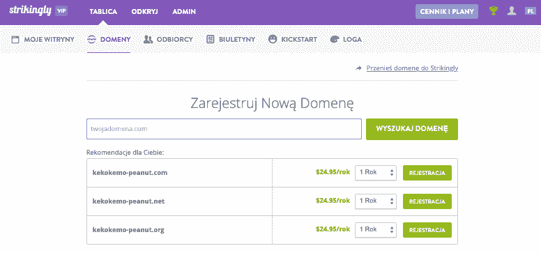 Strikingly – niezbędne narzędzie dla cyfrowego przedsiębiorcy – domena niestandardowa