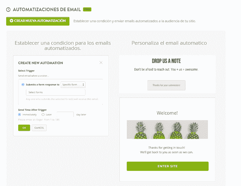 Función de automatización de correo electrónico de Strikingly