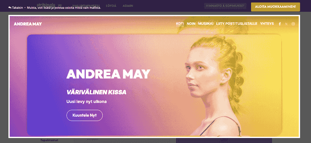 Kuinka myydä musiikkia verkossa Strikinglyn avulla - Käytä korkealaatuisia kuvia, grafiikkaa ja vakuuttavaa biota