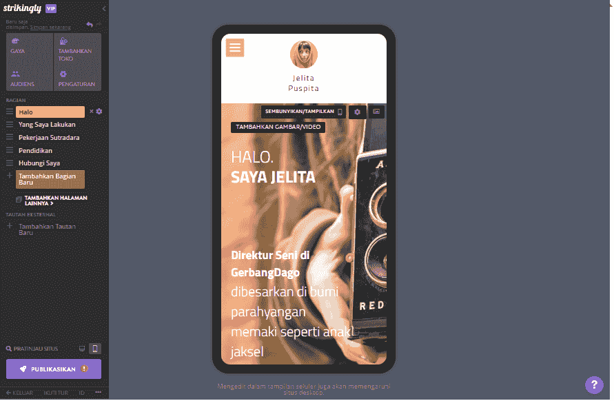 situs web pribadi - Memanfaatkan Strikingly - Mengoptimalkan Kinerja Seluler