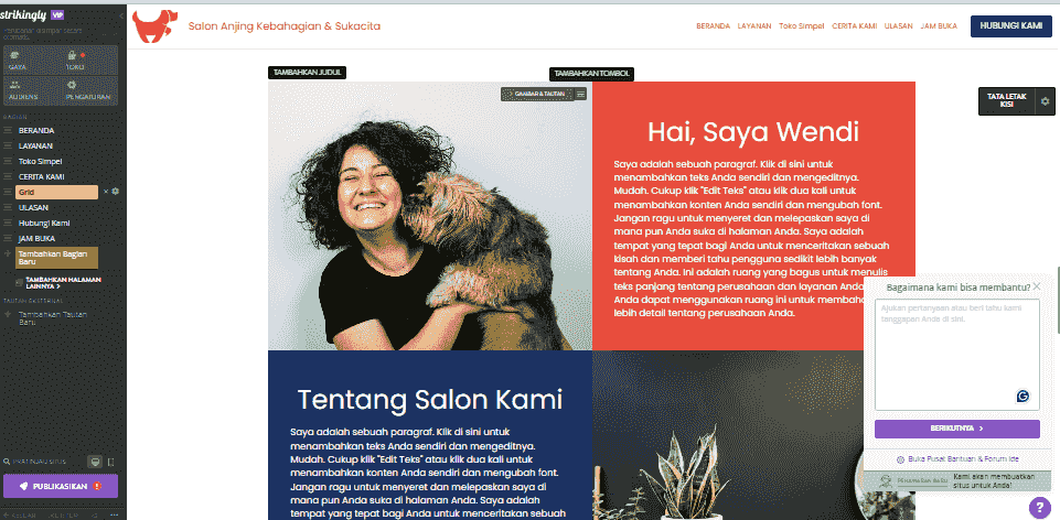 Bagaimana Strikingly Dapat Membantu Bisnis Dengan Umpan Balik Pelanggan - Integrasi Obrolan Langsung