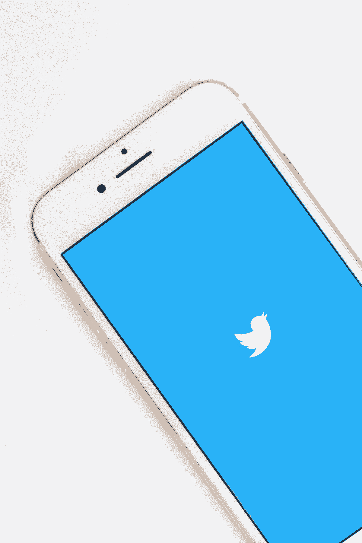 Valorificarea publicității pe Twitter