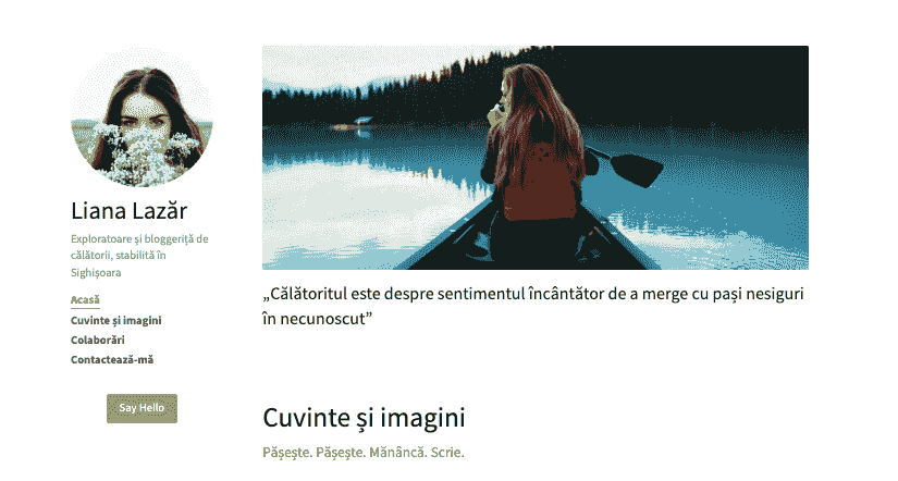 Șablon de site web curat