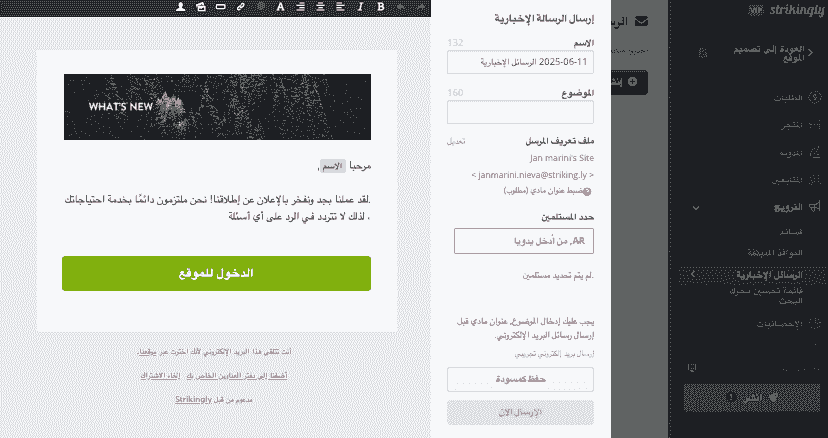 كيف يمكن لـ Strikingly المساعدة في زيادة التفاعل على Instagram - أدلة - دمج النشرة الإخبارية عبر البريد الإلكتروني