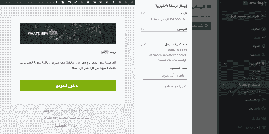 محرر الرسائل الإخبارية Strikingly