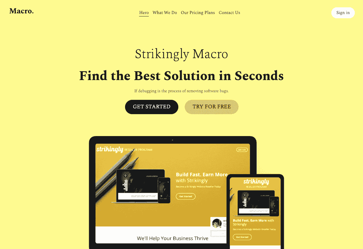 Szablon Makro od Strikingly