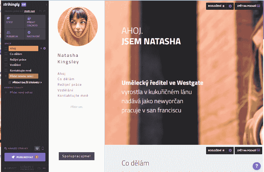 osobní webové stránky - Využíváme Strikingly - jednoduché editační nástroje umožňují snadné přizpůsobení