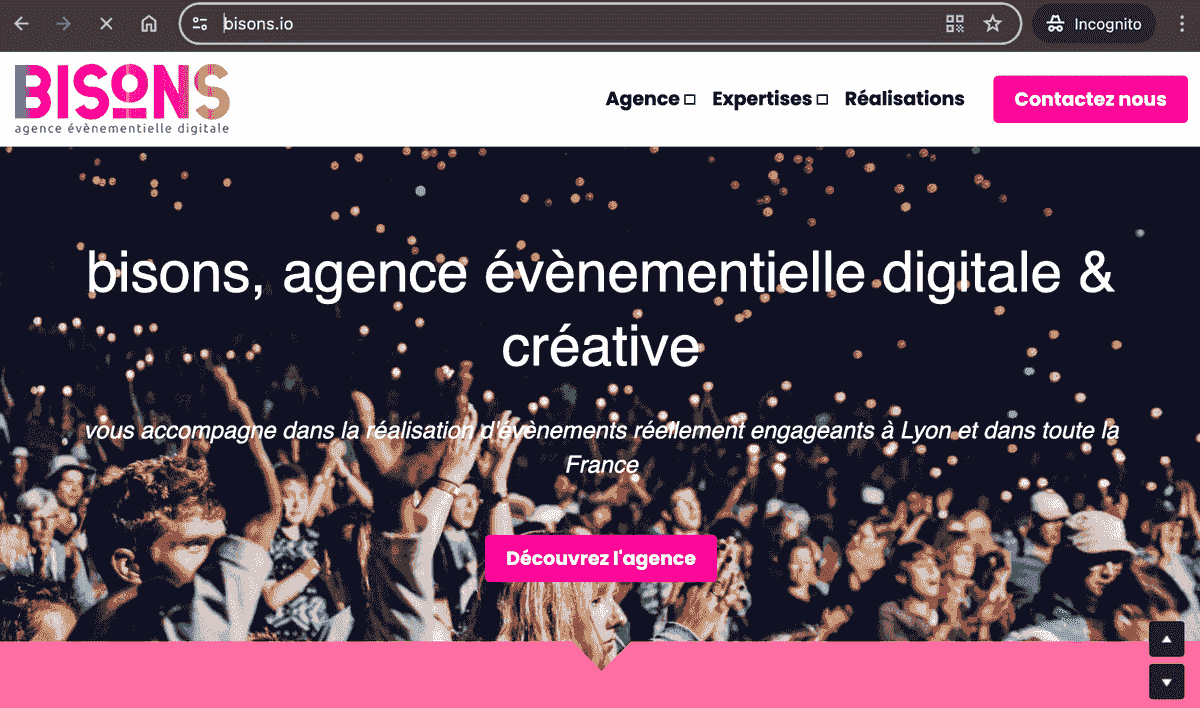 Dominio Bisons y alojamiento web con Strikingly