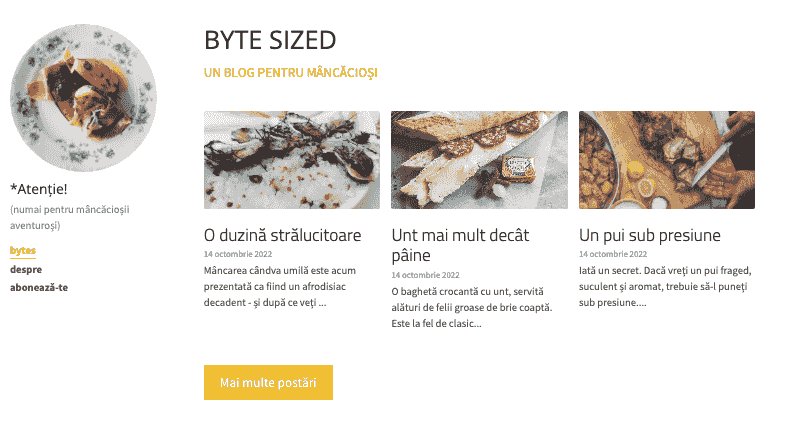Șablon de blog de dimensiuni reduse de la Strikingly