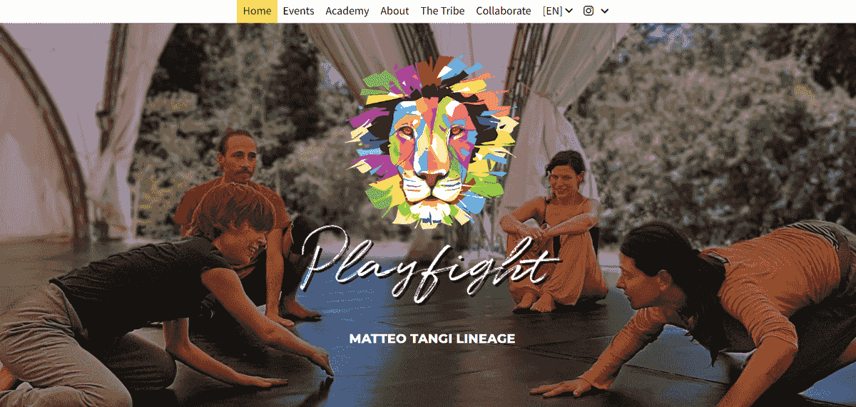 Imagine luată de la Playfight