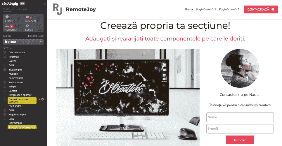 Construirea magazinului online