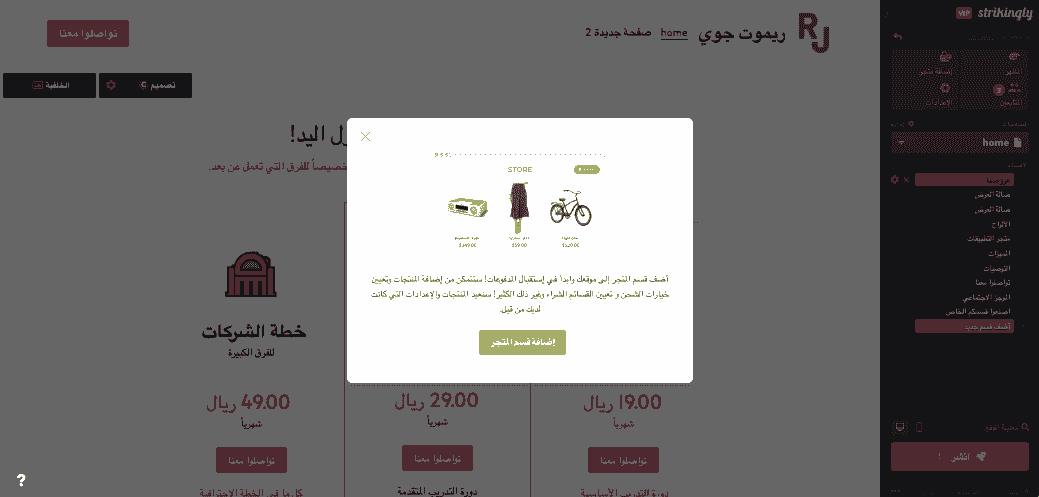 استراتيجيات Strikingly الشاملة لنجاح مبيعات الحرف اليدوية عبر الإنترنت - تكامل التجارة الإلكترونية
