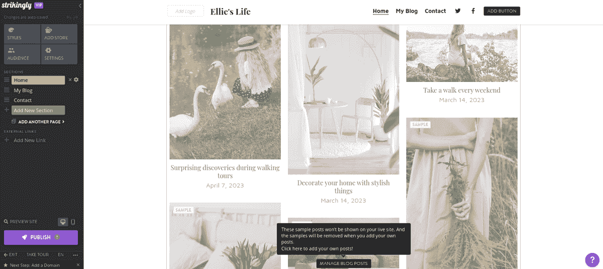Funcții ale site-ului - Funcțiile Strikingly se extind la soluții de e-commerce - Indiferent dacă ești proprietar de mică afacere, artist sau blogger, există un șablon care să se potrivească nevoilor și stilului tău