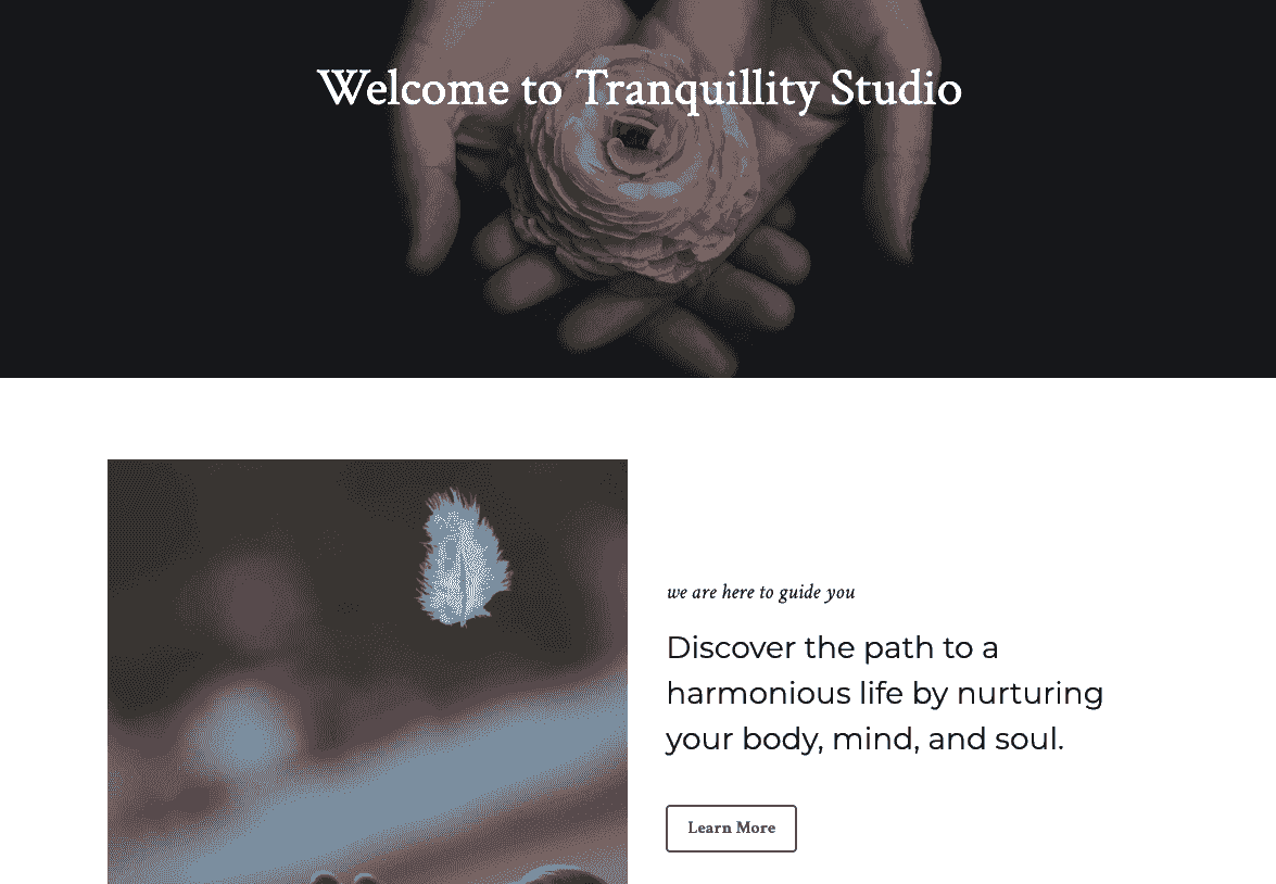 Szablon Tranquility Studio od Strikingly