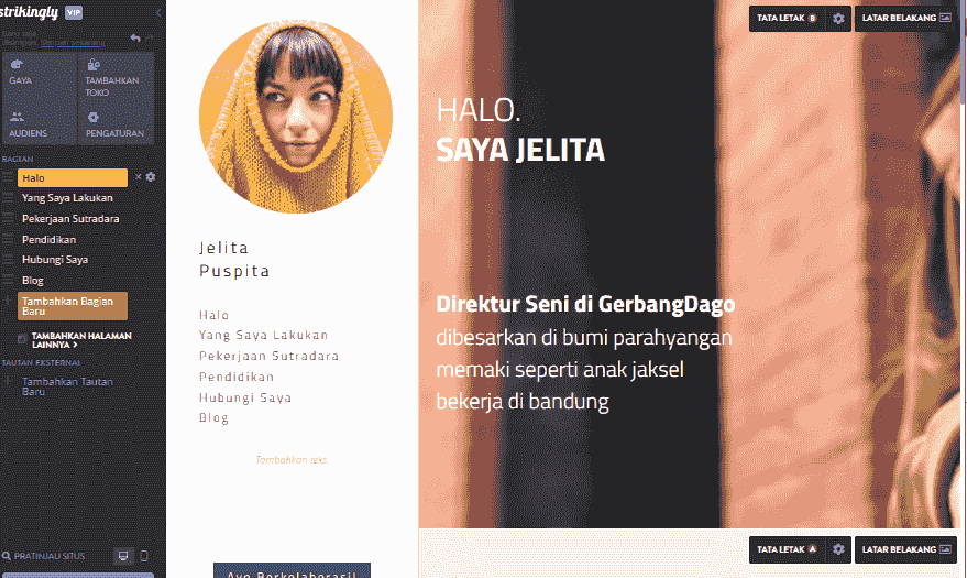 situs web pribadi - Memanfaatkan Strikingly - alat pengeditan sederhana memungkinkan penyesuaian yang mudah