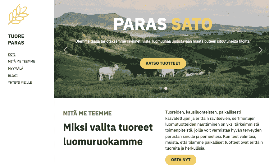 Uusi hienoin verkkosivumalli Strikinglylta